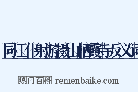 同江仆射游摄山栖霞寺反义词是什么意思的图片